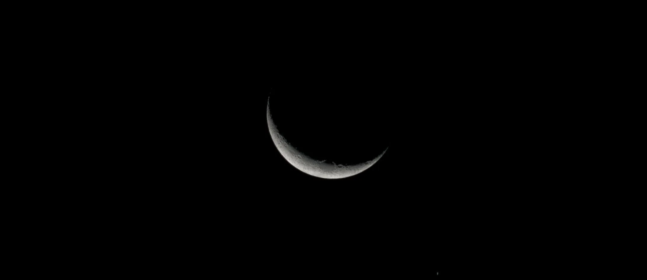 pexels-photo-7441197
